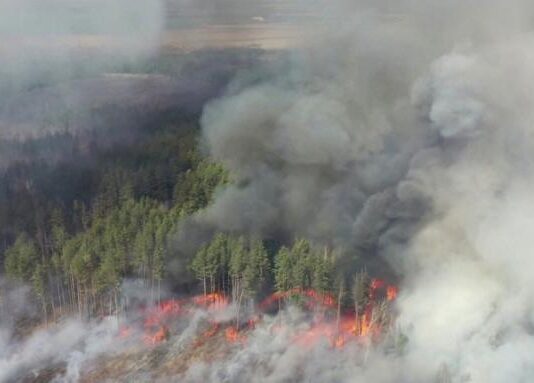 На Житомирщини горить Поліський заповідник