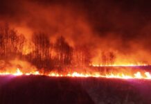 В Житомирской области спасатели за сутки 39 раз тушили сухую траву