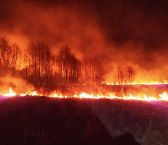 У Житомирській області рятувальники за одну добу 39 разів гасили суху траву