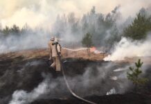 В Житомирской области 55 пожаров за сутки