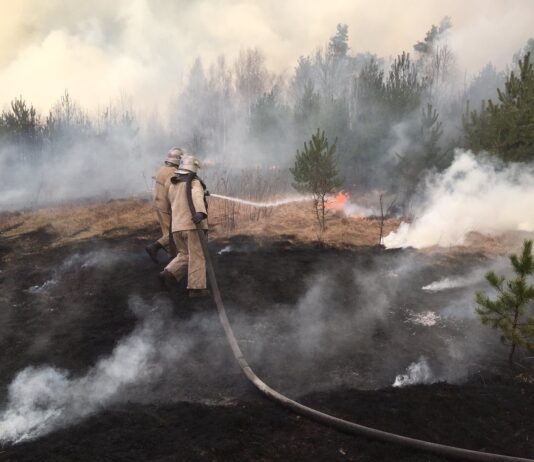 На Житомирщині 55 пожеж за одну добу