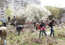 Мер Житомира віддав розпорядження провести весняний благоустрій та прибрати місто