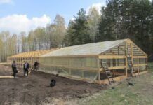 У Житомирській області створюють додаткові розсадники дерев, що будуть рости на згарищах