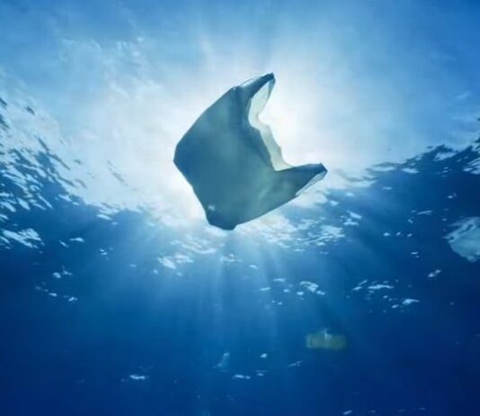 В Європі повністю забороняють пластиковий посуд та іншу одноразову продукцію з пластику