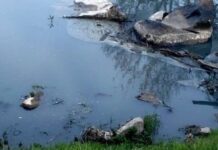 Бассейны рек Хомора и Случь могут признать зоной чрезвычайной экологической ситуации