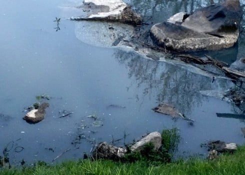 Басейни річок Хомора та Случ можуть визнати зоною надзвичайної екологічної ситуації