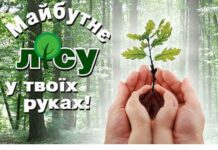 На Житомирщині розпочинається Всеукраїнська акція «Майбутнє лісу – в твоїх руках»
