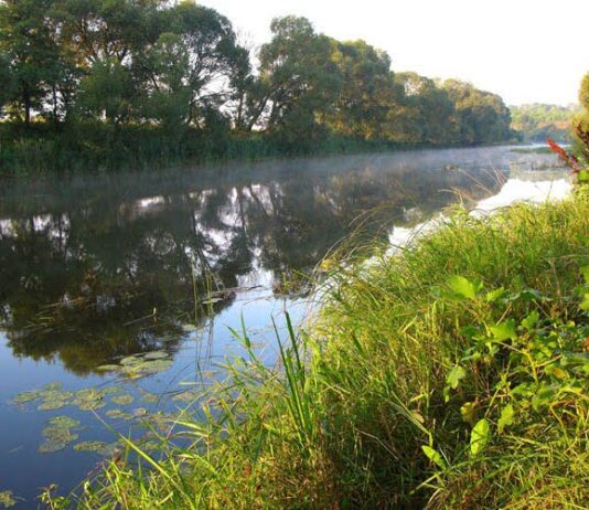Мешканці Житомирщини зможуть взяти участь у створенні карти водойм, біля яких треба прибрати