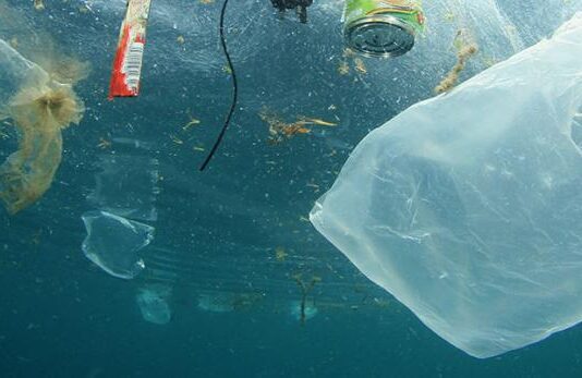 Люди забруднили 60% Світового океану