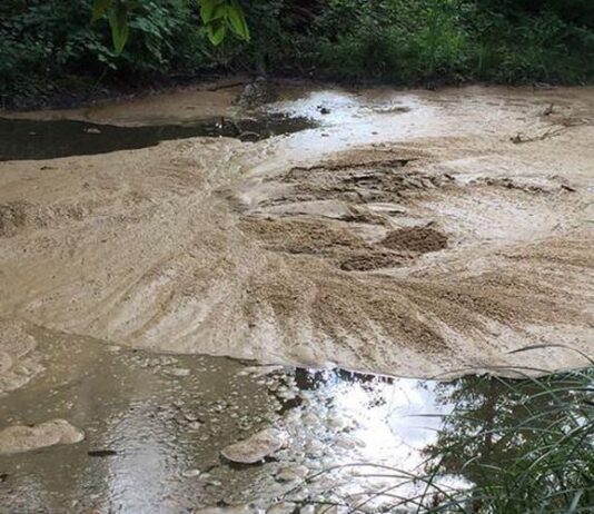 Житомирську річку знову забруднили коричневою речовиною