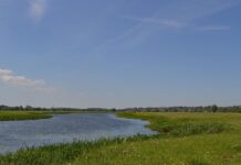 Житомирська область скарбниця для розвитку сільського зеленого туризму
