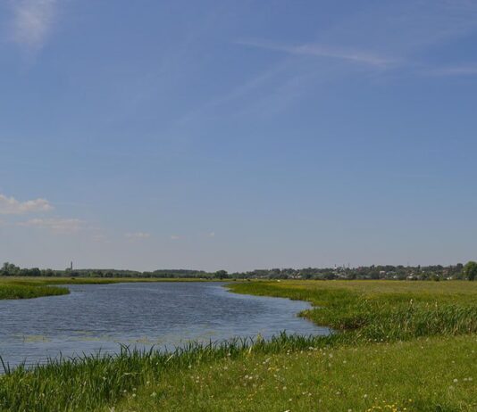 Житомирська область скарбниця для розвитку сільського зеленого туризму