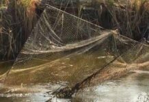 Рыбоохранный патруль провел рейды на реках Житомирщины