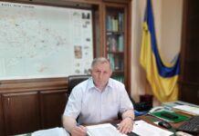 Голова Держлісагентства закликає українців купувати живі ялинки
