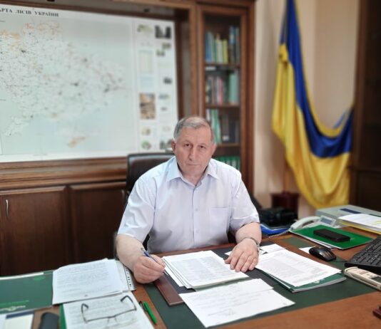 Голова Держлісагентства закликає українців купувати живі ялинки