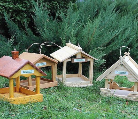 Житомирські лісники відправили до столиці сотню годівниць для птахів