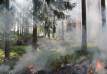 Інноваційне відстеження пожеж в Житомирі