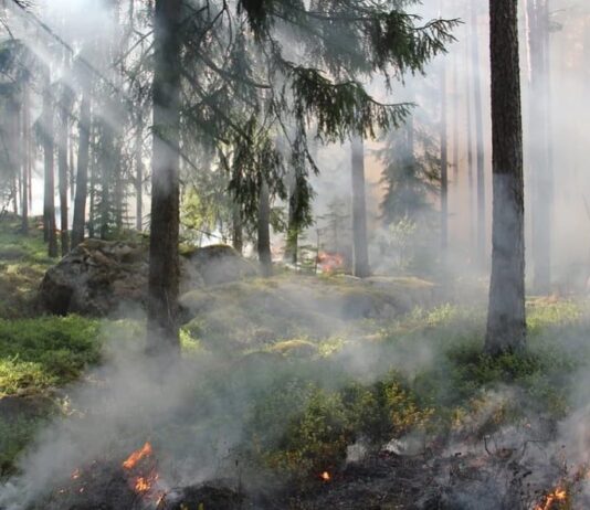 Інноваційне відстеження пожеж в Житомирі