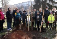 Акция «Дереводень» — озеленение Житомира
