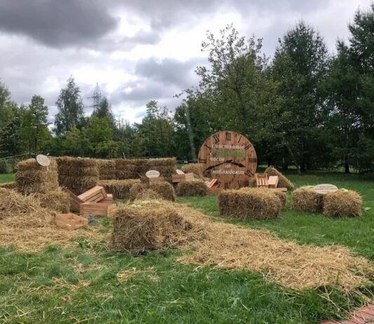 Счастливые часов не наблюдают: Greenworks в Царицыно!