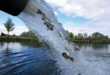 Водоканал пообещал провести зарыбление р. Тетерев
