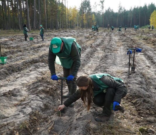 Жителів Житомирщини закликають взяти участь в екологічній акції «Озеленення планети»