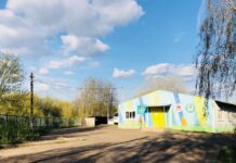 У Житомирі стерилізували майже 80 вуличних кішок в рамках безкоштовної акції