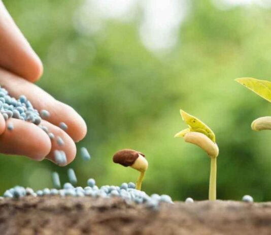 Як обрати мікродобриво та отримати хороший врожай