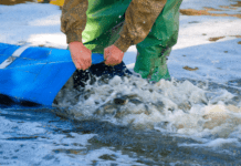 Скільки витратив водоканал на зариблення річки Тетерів?