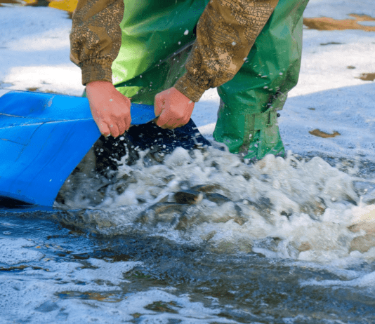 Скільки витратив водоканал на зариблення річки Тетерів?