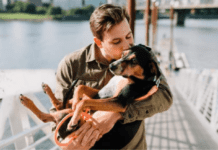 Домашні улюбленці в Житомирі під охороною: відповідальність власників тварин посилено