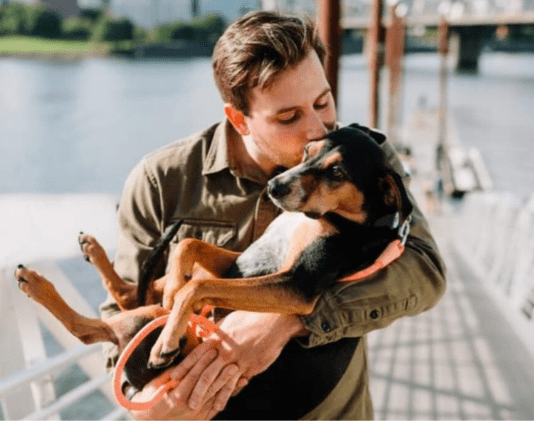 Домашні улюбленці в Житомирі під охороною: відповідальність власників тварин посилено