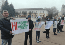 Суд прислушался к мнению общины, незаконная вырубка дубов в Емельяновке прекращена