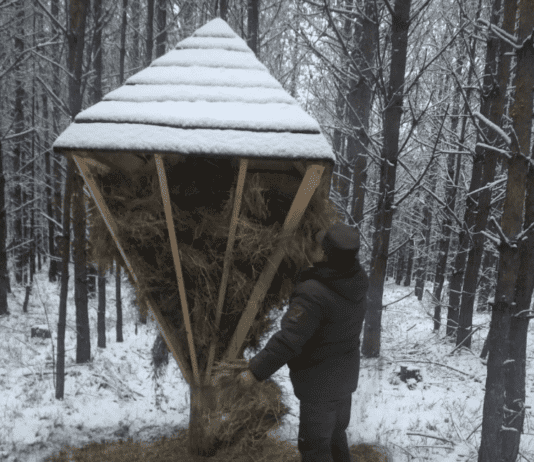 У лісах Житомирщини облаштували місця для годівлі тварин