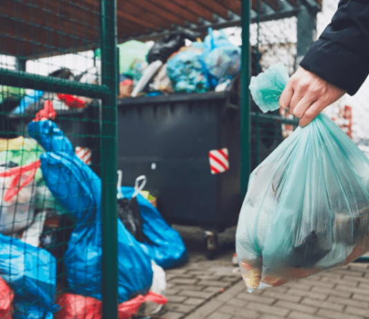 Містяни забруднюють Житомир – посеред дороги з’явилося сміттєзвалище
