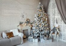 Куда житомирянам сдать новогодние елки и сосны на утилизацию?