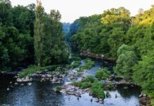 Поради, які допоможуть зберігати чистоту рідного міста