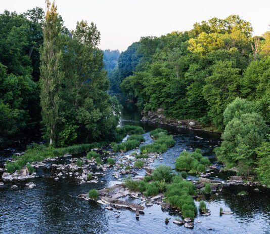Поради, які допоможуть зберігати чистоту рідного міста