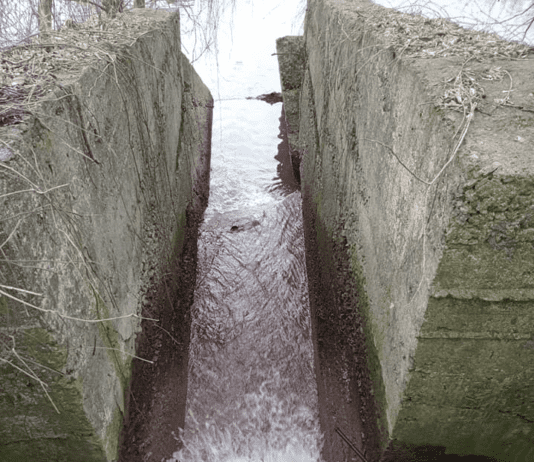 Чергове забруднення річки Тетерів – вода стала яскраво-рожевою