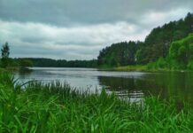 Курорти Житомирського регіону та їх історія