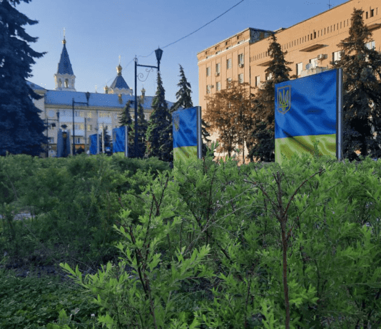 Житомир – місто, що квітне зсередини. Чи потрібні зміни?