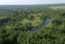 Зона відчуження в Житомирській області