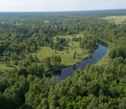 Зона відчуження в Житомирській області