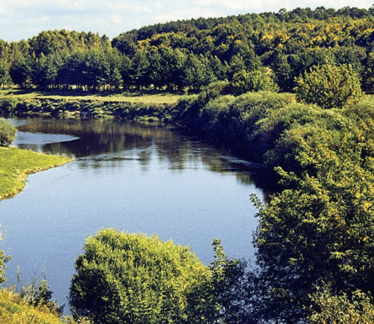 Залізна Житомирщина: використання і потенціал болотних руд