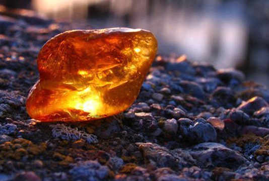 Клондайк по-житомирськи. Кровавий бурштин