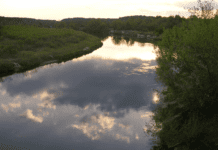 Сплав лісу басейном річки Уж