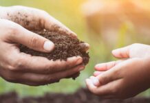 Состояние грунтов в Житомирской области