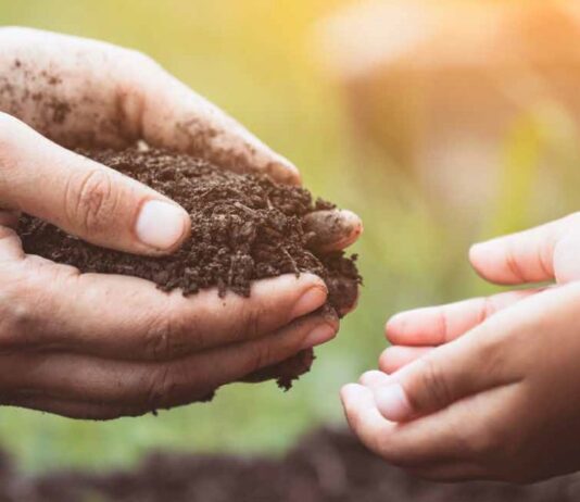 Стан грунтів на Житомирщині