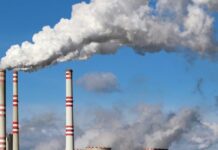 Уровень загрязненности в Житомирской области. Какая ситуация в Полесье?