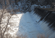 Гідроелектростанції на Житомирщині та їхній вплив на екологію